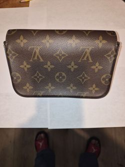 Louis Vuitton Monogram Félicie Clutch / Pouch