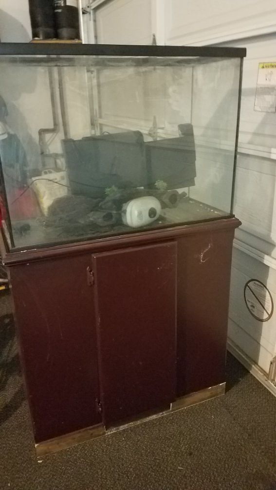 Fish/reptile tank with stand