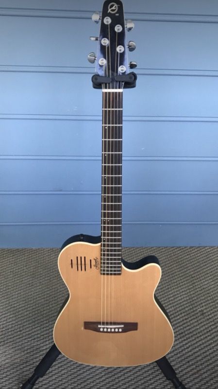 Seagull/Godin Acoustic-Electric Guitar