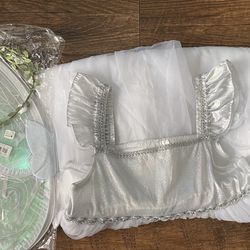Fairy Costume 