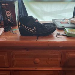Nike boxing shoes and gloves