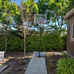 Basketball Hoop