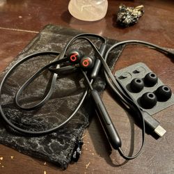 Beats Flex Ear Buds (Lightly Used)