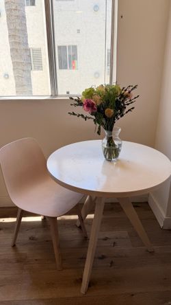 Dining table and chair