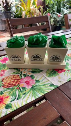 Mini Herb Garden Kit
