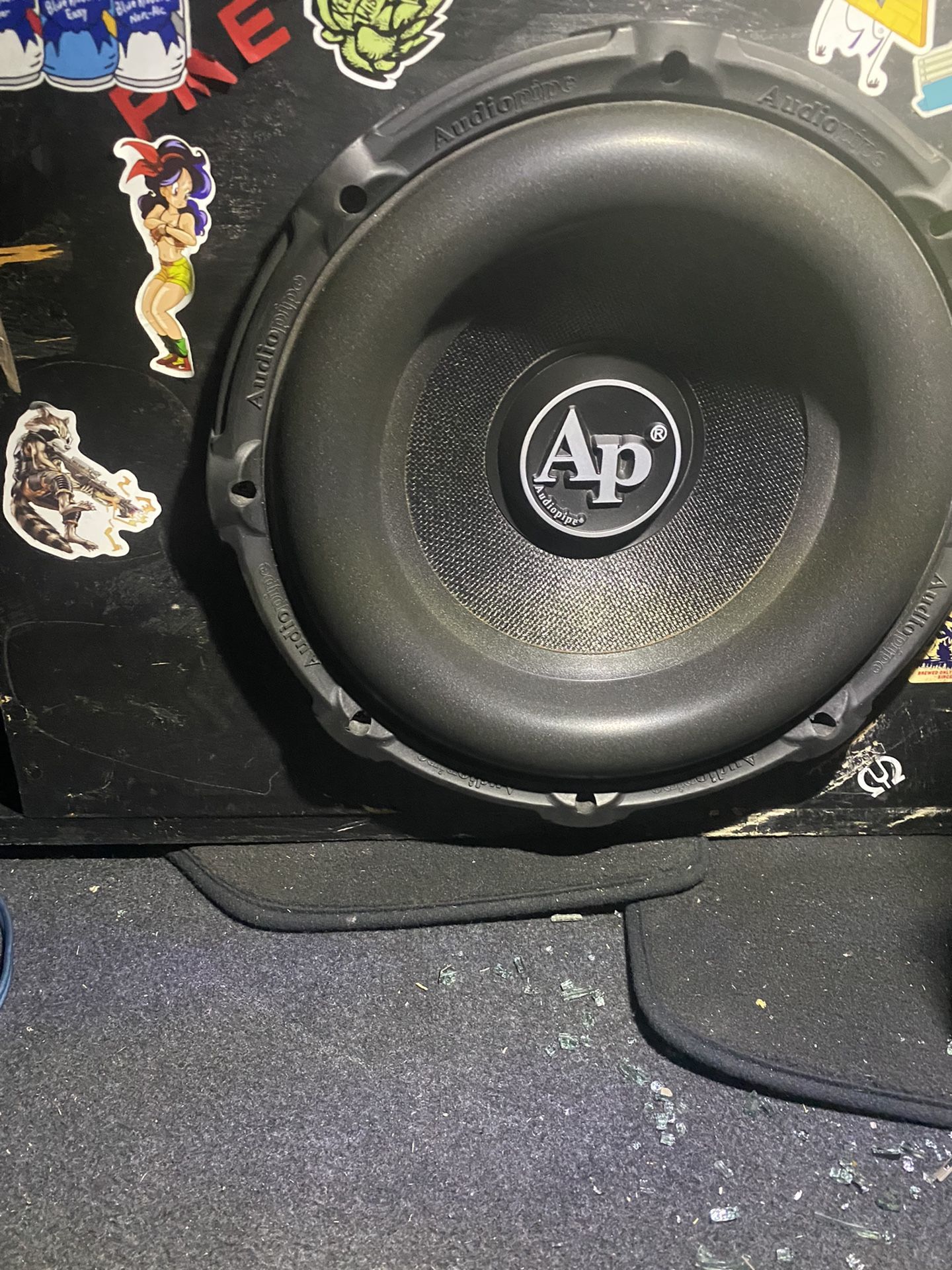 Ap 12” Sub