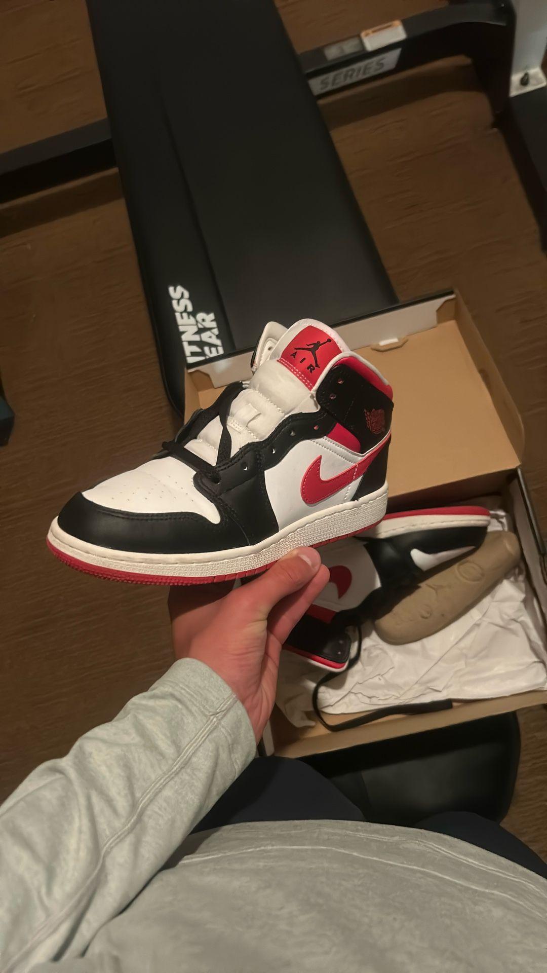 Jordan 1 mids