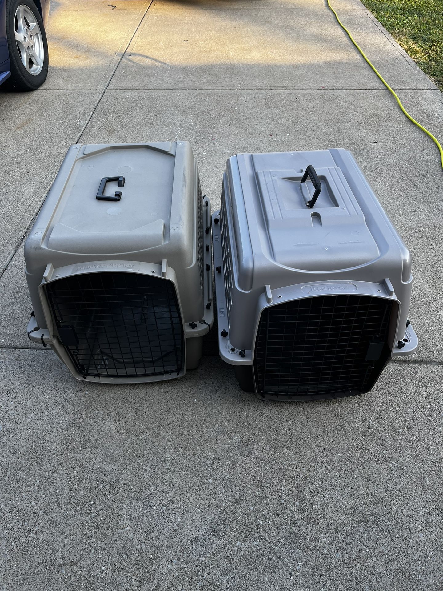 2 medium dog carriers