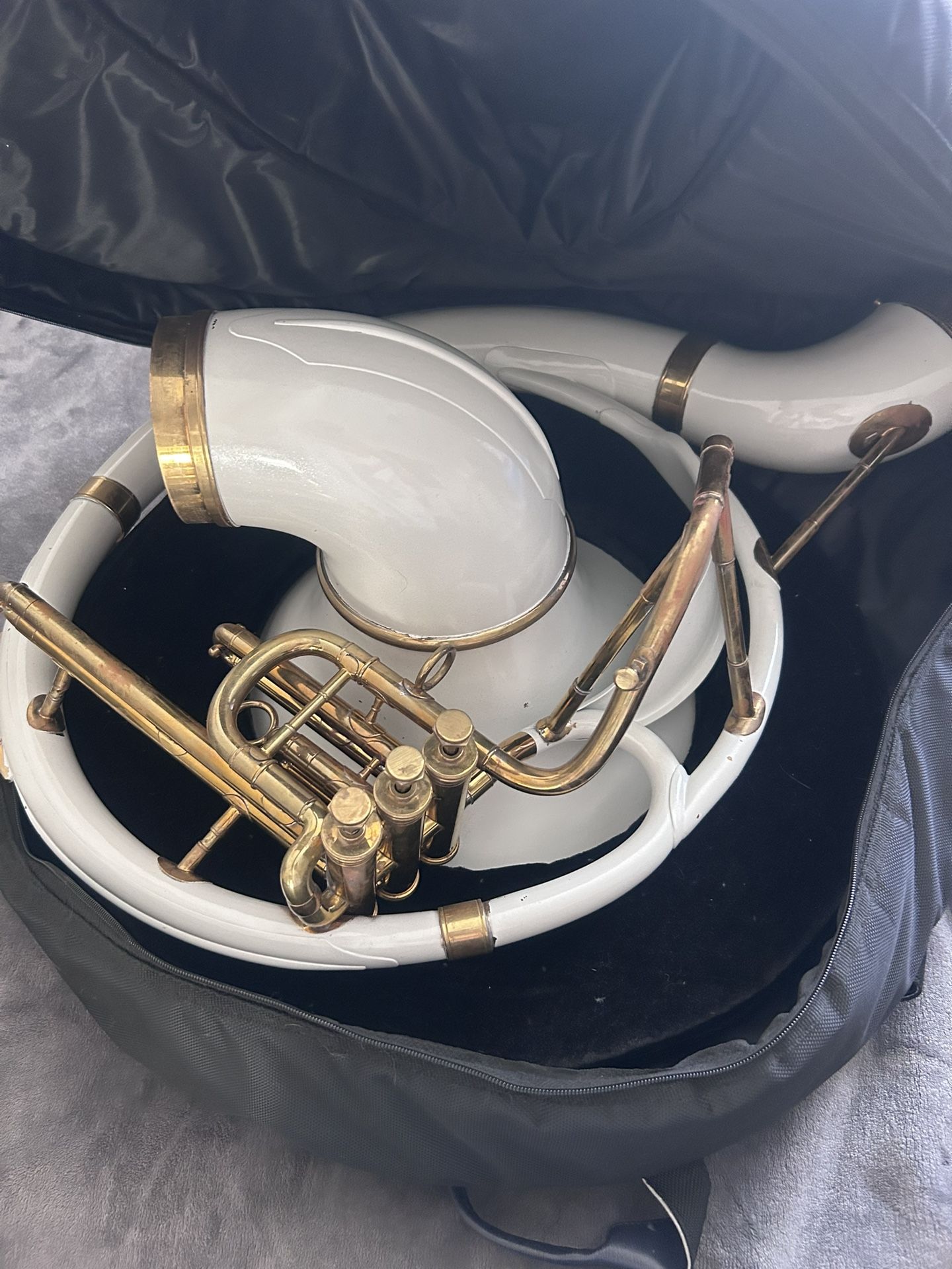 French Horn 