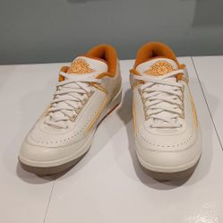 Nike Air Jordan Retro 2 Low
Melon Tint - Size 11