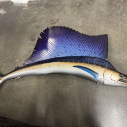 Indo-Pacific sailfish Taxidermy- Read Description 