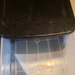Plastic Storage Drawer