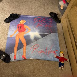 36” x36” Roger Waters these are the pros and cons of hitchhiking poster original