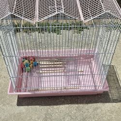 Bird Cage With Some Accessories 