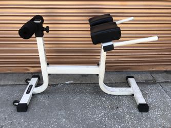 Nautilus Roman Chair/ Hyperextension