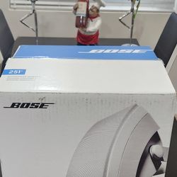 BOSE 251
