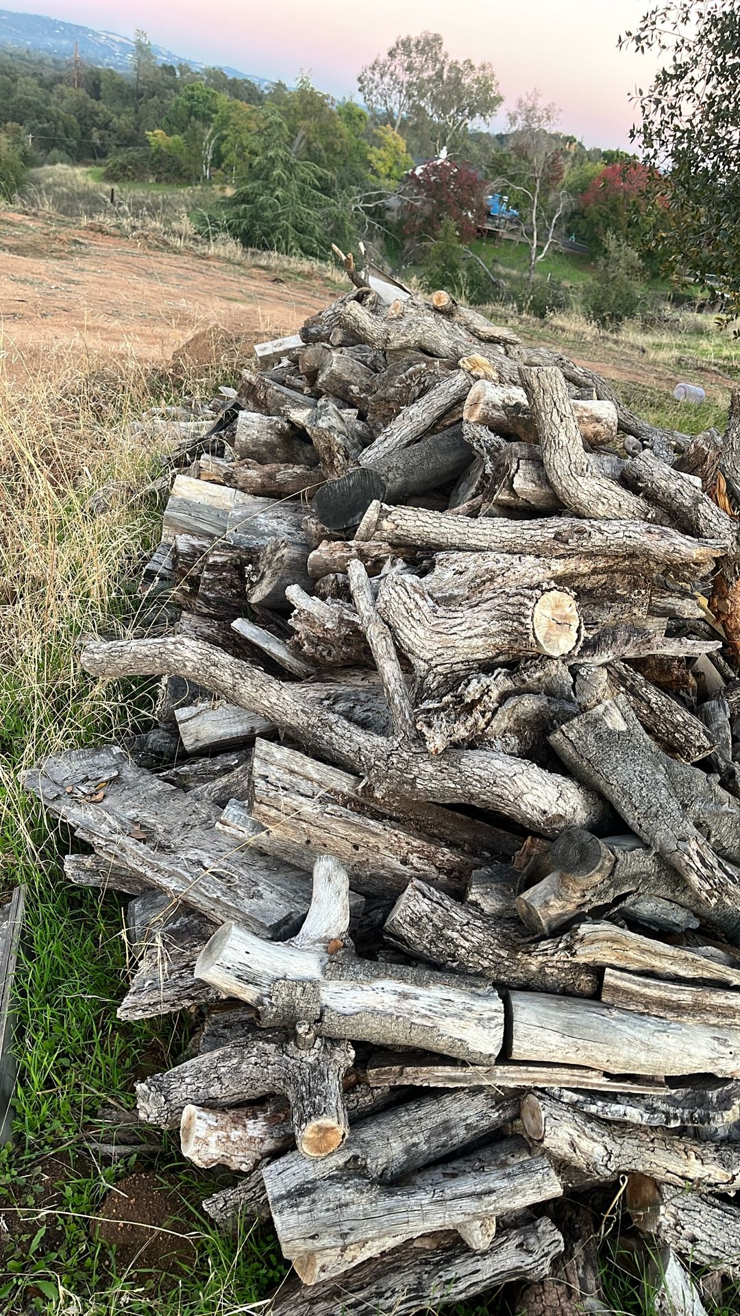 Seasoned Oak Firewood