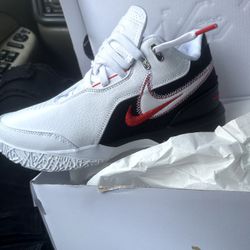 New Nike Labron 