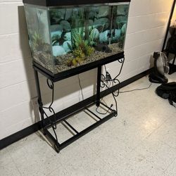 Fish Tank With Stand 