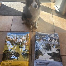 Bulk Taste of the Wild Dog Food – 28 lb Bags (High Prairie & Pacific Stream)