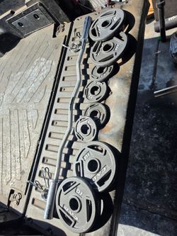 Weight plates & curl bar