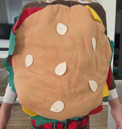 Kids Hamburger Halloween Costume