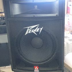 Set Of 15" Peavey Speakers