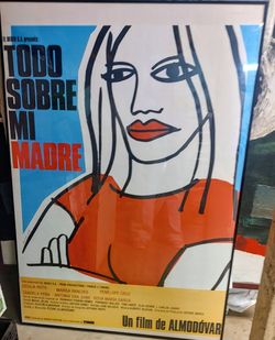 Framed Movie Poster - Pedro Almodovar