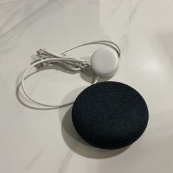 Mini Google Home 
