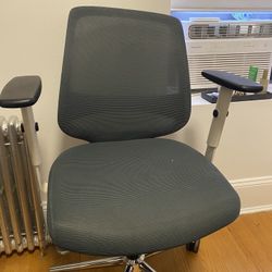 Branch Office Chair- Originally 259 Dollars 