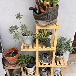 Plant Stand, Some Plants Included 