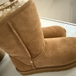 Brand New Uggs