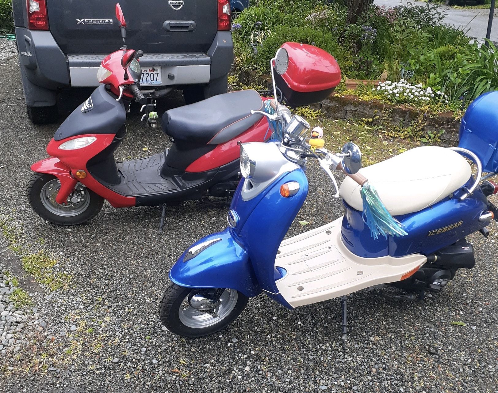 $1,000 ea  50cc Gas Powered Scooters