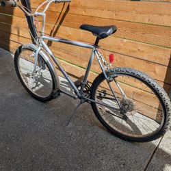Silver Bike
