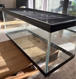20 gallon glass tank/ screen lid