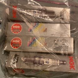 Spark Plugs