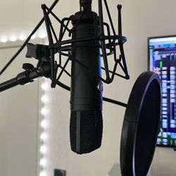 U-87 Warm Audio