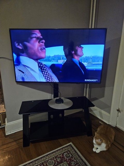 55-in Insignia TV Not Smart But Works Good