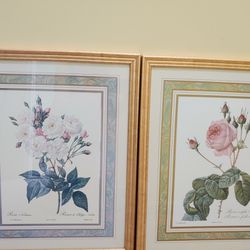 Framed Botanical Artwork