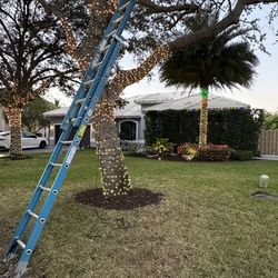 Chritsmas Lights Installation 