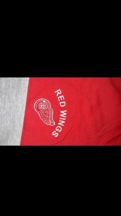 Red Wings hockey team tshirt size L