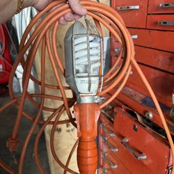 Electric Light With The Cord 