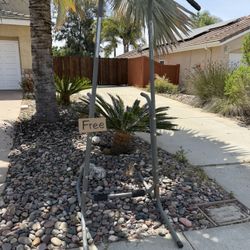 Chin, Dip, Push-up Station