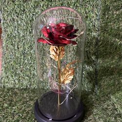 Valentine’s  Day  Gift 