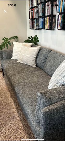 Beautiful  West Elm Sofa