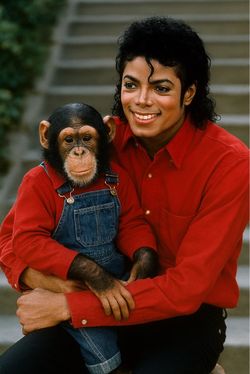 8 1/2 x 11 print Michael Jackson