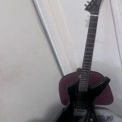 Guitar, Peavey Rotor Exp 