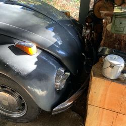 1972 Volkswagen 1600