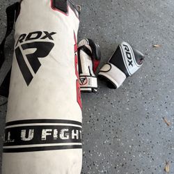 RDX Kids Heavy Bag and Boxing Glove set