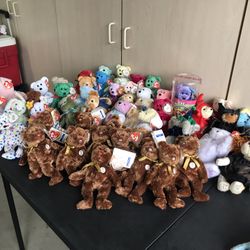 ty Beanie babies 